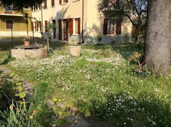 Casa Olinda Apartment Lazise Exterior foto